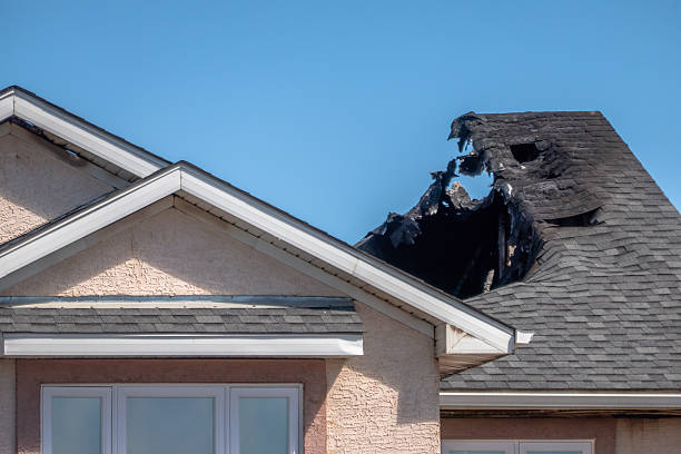 Top rated local Board Up Services specialists in Winsted, MN